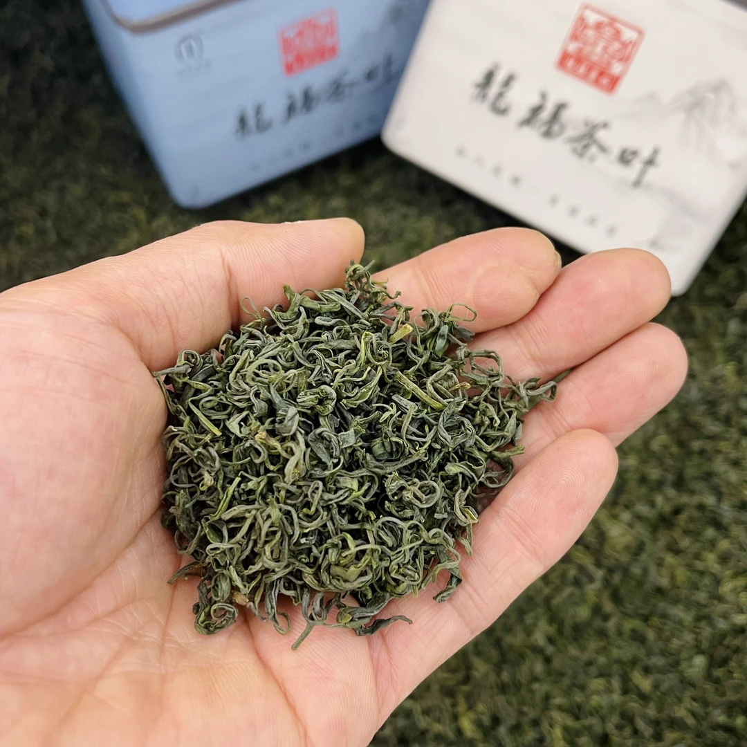 龍福定制绿茶【贡品绿】500g 新人福利 口粮浓香型绿茶