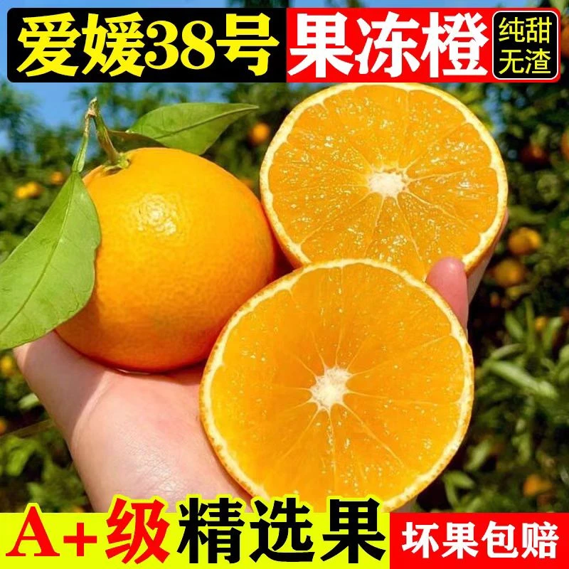 爱媛38号果冻橙四川眉山核心产区现摘新鲜产地直发