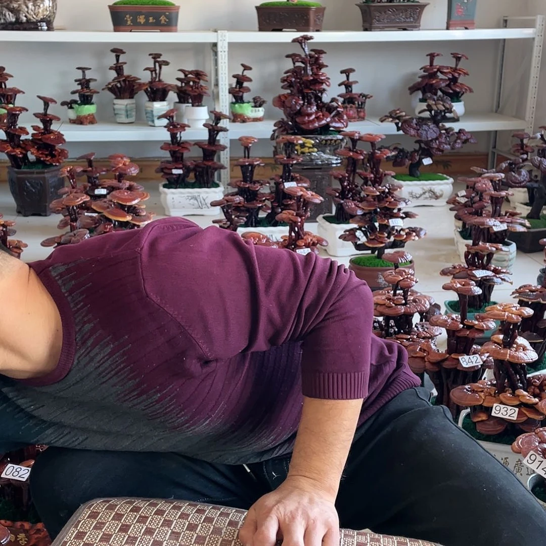 桃**人88888888888888