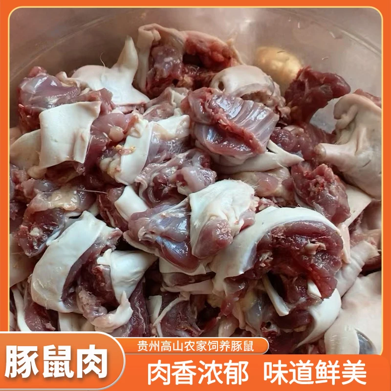 高山农家养殖豚鼠现宰现发400克以上装