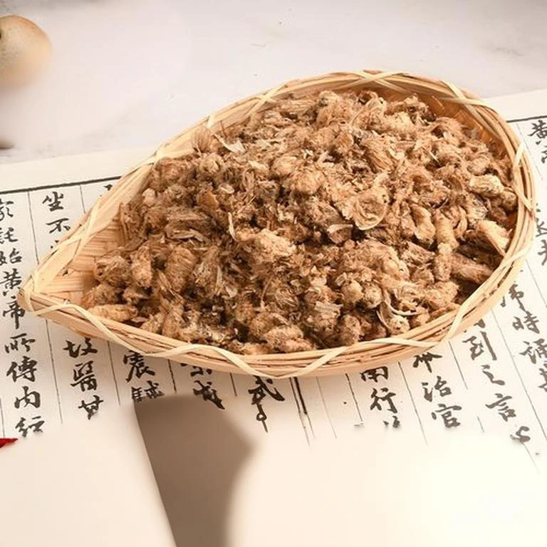 东北西丰柞树雄蚕蛾