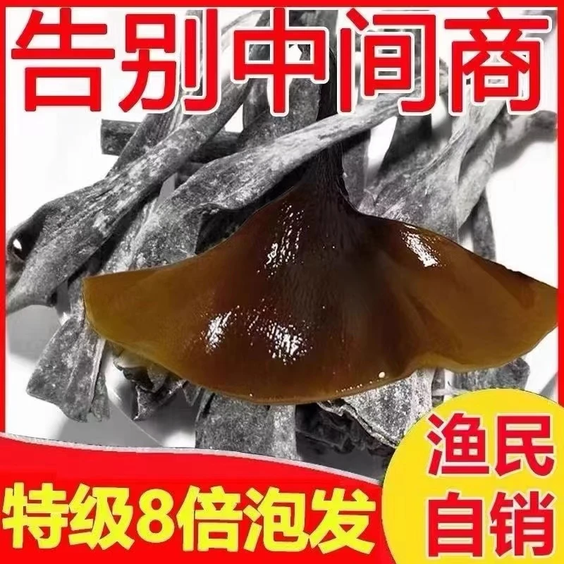 【新货】霞浦干海带头干燥厚干净无沙日晒风干厚实鲜嫩美味炖汤100g