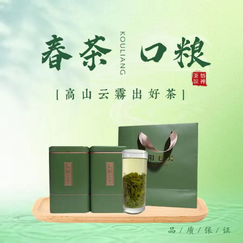 信阳毛尖核心产区天云山高山茶正宗信阳毛尖茶50克*2罐