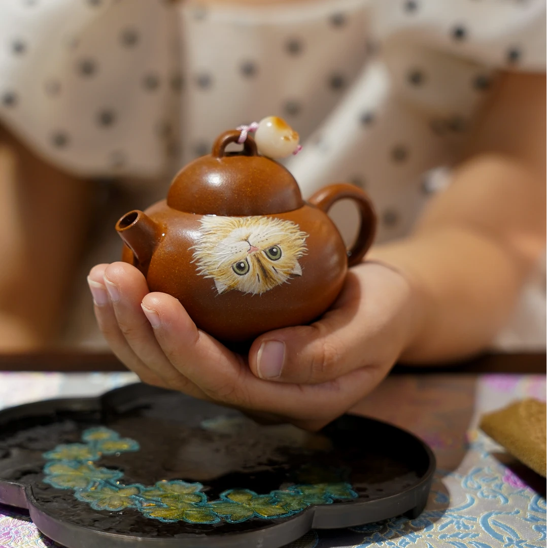 迷你《布偶》小猫咪 原矿降坡 70cc-80cc