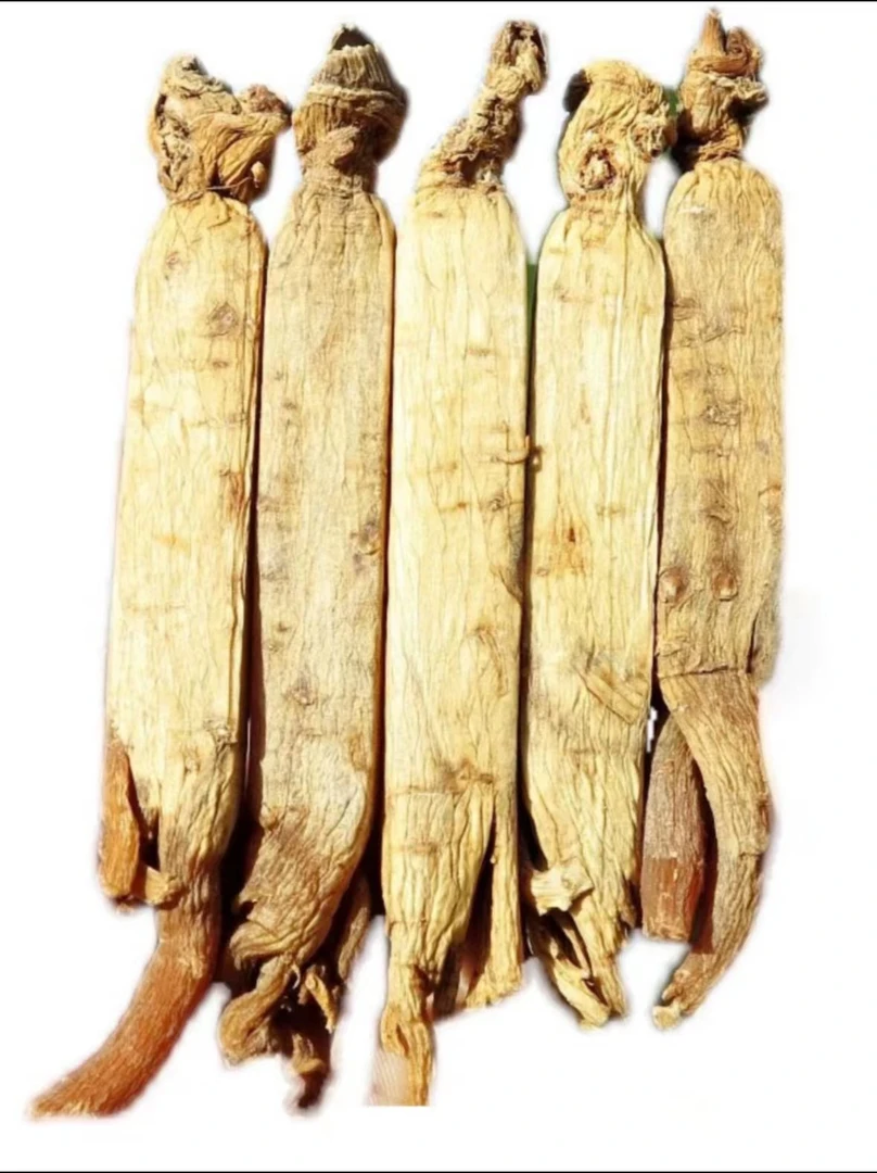 【李哥茶园】精选正品长白山高丽参黄马褂