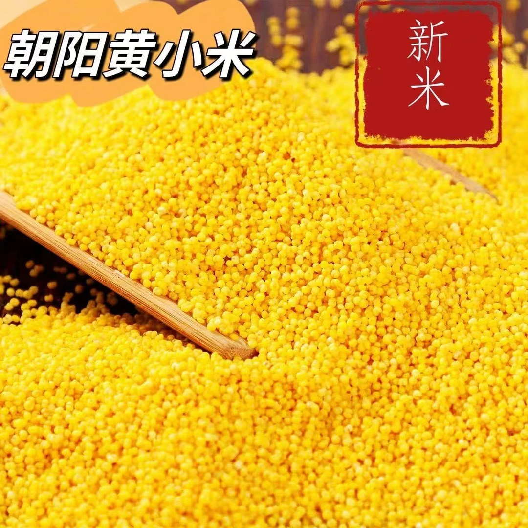 正宗东北黄小米新米红谷子米大金苗K1孕妇月子米宝宝辅食米