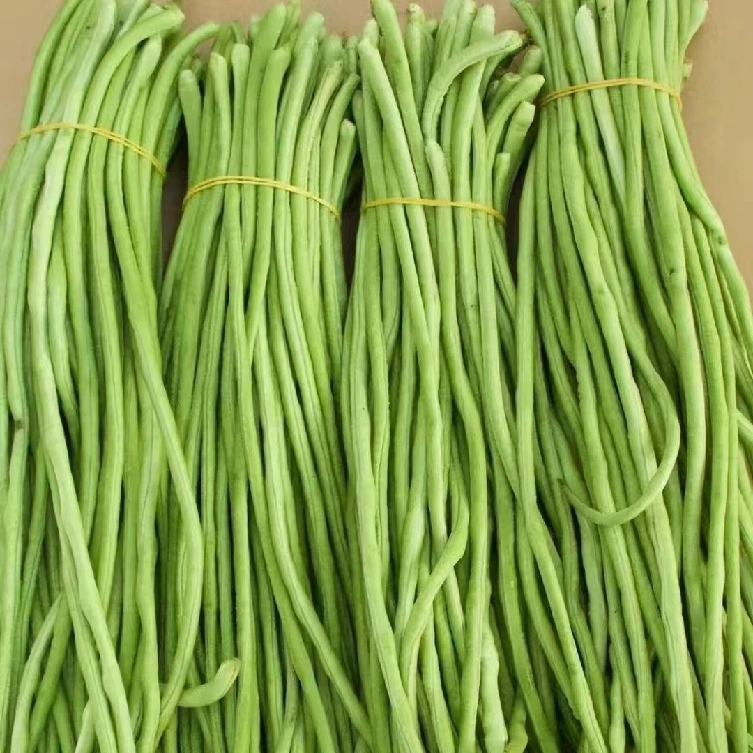 河南老豆角蒸菜吃的长豆角净重4斤