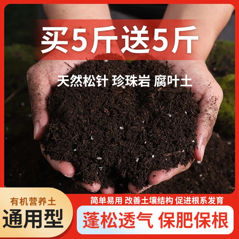 松针腐叶腐殖土天然有机营养土养花种菜种植土园艺土透气通用型