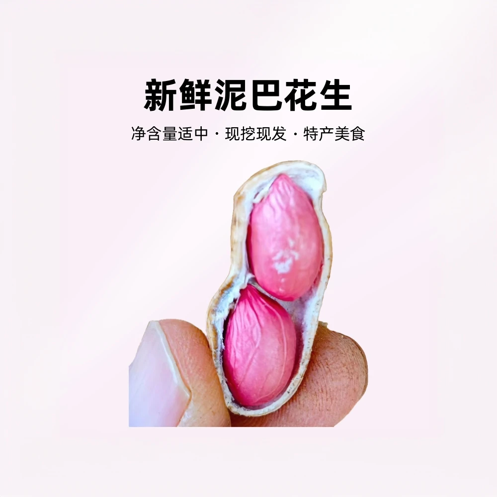 四川红皮花生新鲜泥巴花生食用农产品净含量5斤农家菜