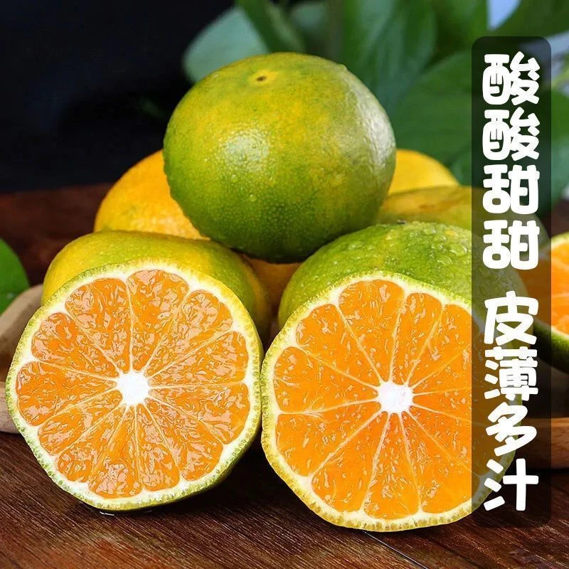 四川青橘子青皮蜜桔酸甜薄皮无籽不是寻乌蜜桔应季新鲜孕妇水果