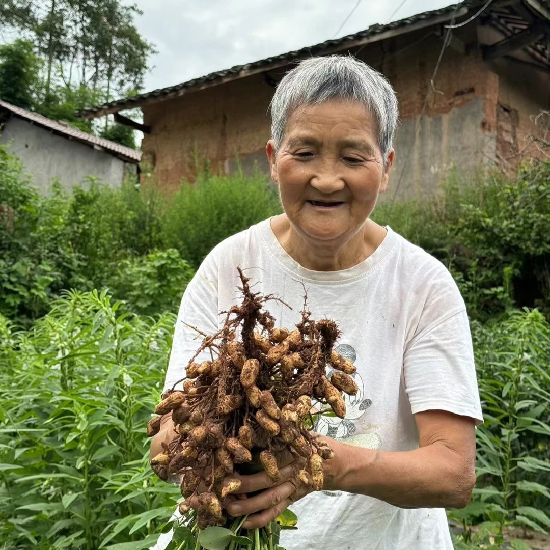 【祝老哥】25年四川新鲜红皮花生现挖现发红土地沙地花生