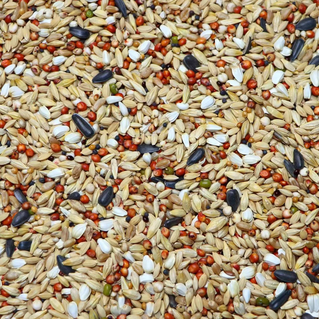 干净五谷杂粮鸽子津门赛得利A级50斤信鸽元宝鸽粮改善羽毛光滑