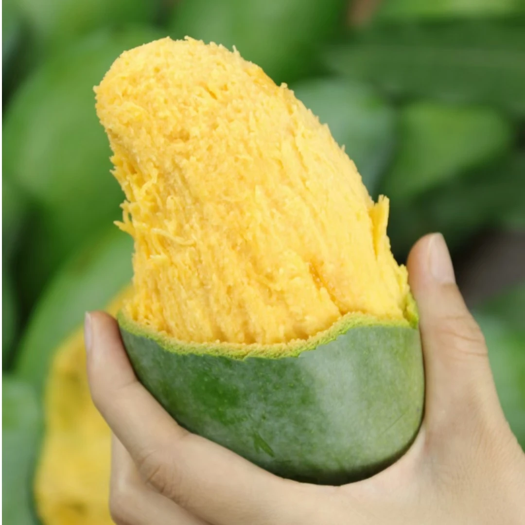 广西特产百色桂七芒香芒果多汁香甜青2斤8斤产地大果新鲜采收发货