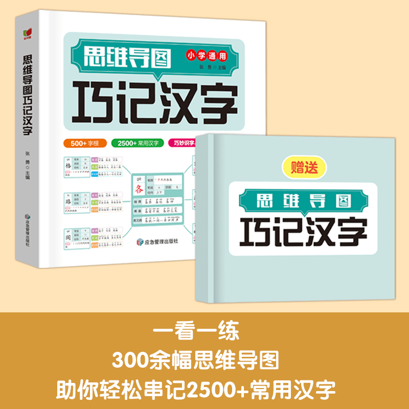 《思维导图巧记汉字》赠配套默写练习册小学生1-6年级2500+汉字Z