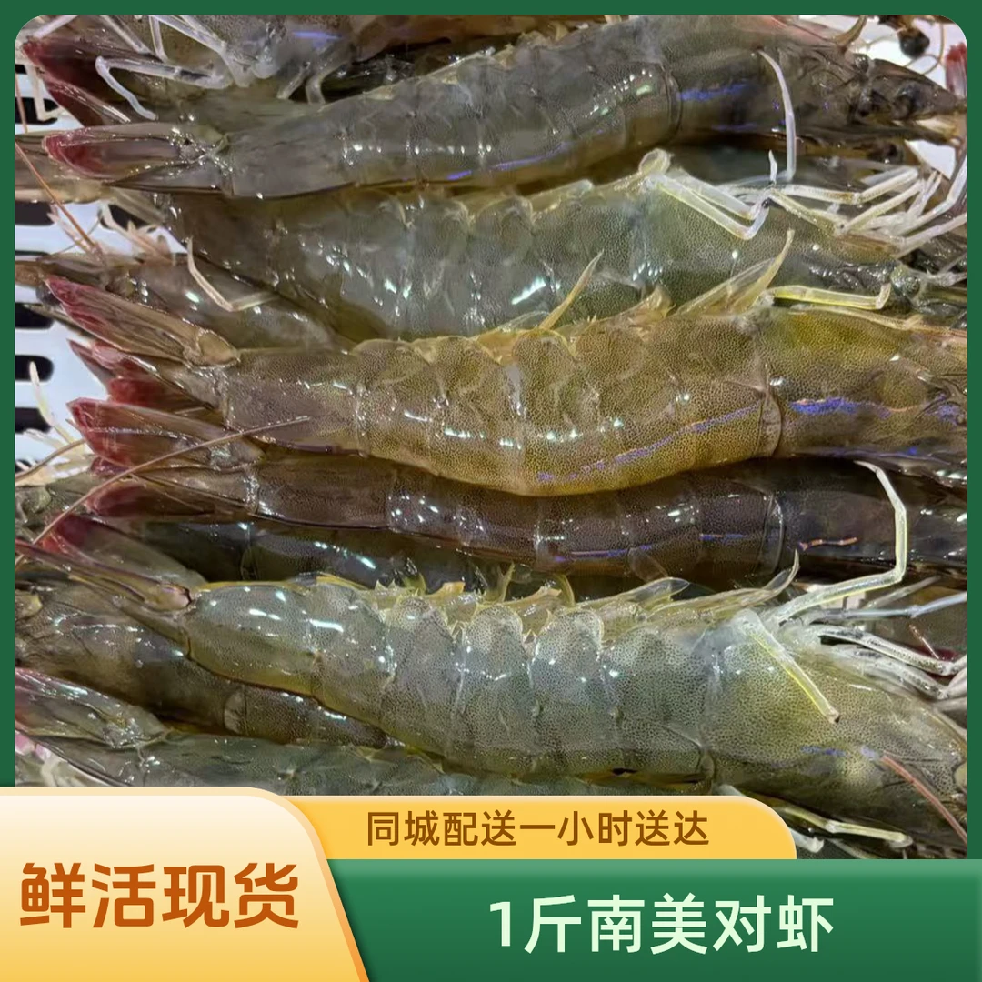 【鲜活南美对虾1斤】海鲜小镇南美对虾 鲜活现货 活货现发