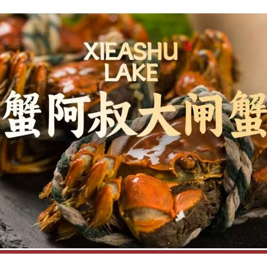 活蟹大闸蟹|大号折爪|母蟹|2.5-3.5两|一斤装