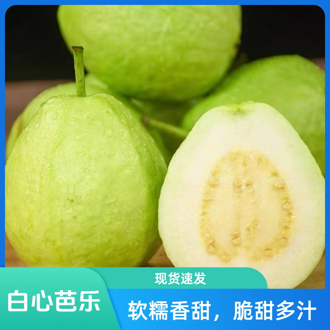 正宗白心芭乐软糯软心当季水果新鲜现摘番石榴脆甜整箱批发