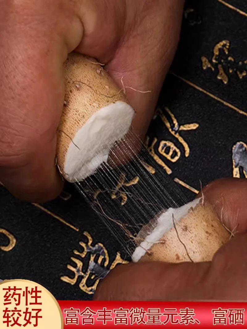 精品正宗铁棍山药软糯香甜营养原产地直发 家种植【60--70公分】