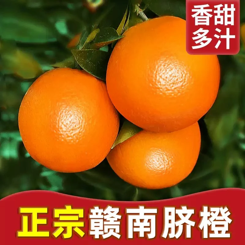 赣南脐橙现摘现发正宗江西赣州10斤新鲜当季整箱大果顺丰包邮