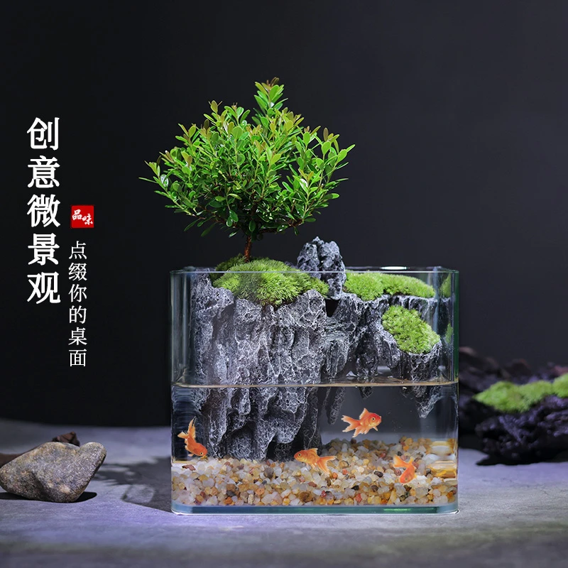 鱼缸盆景创意植物景观（栽好发货-可养鱼）绿植造景盆栽水族箱