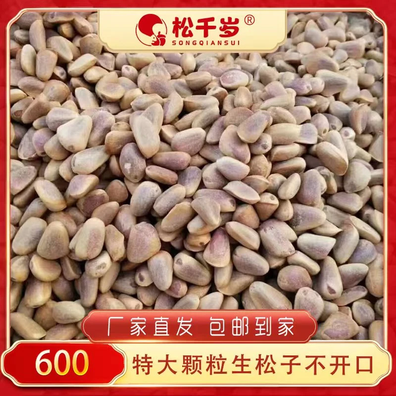 原产地直销【东北野生生松子】600特大颗粒新鲜饱满营养零食坚果