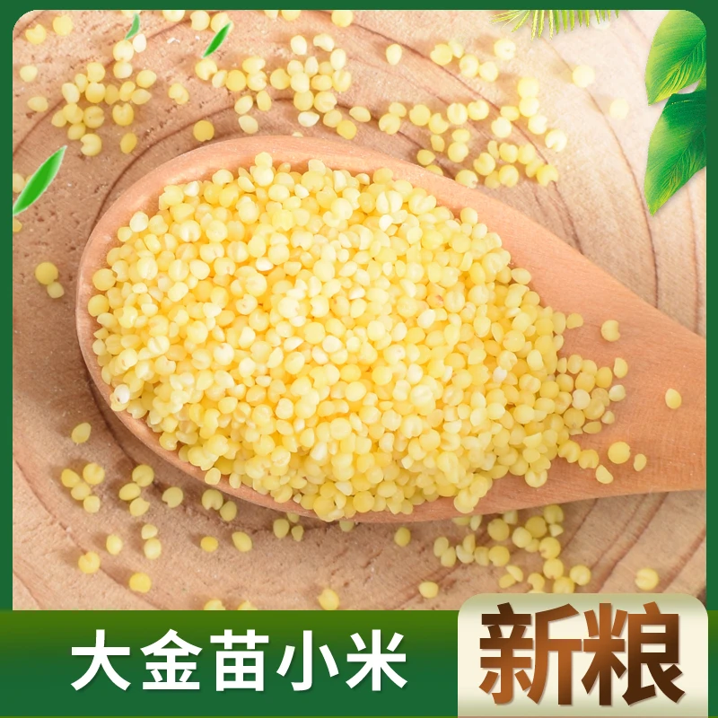 内蒙古赤峰小米3斤5斤大金苗小米黄小米煮粥东北新米月子米新米