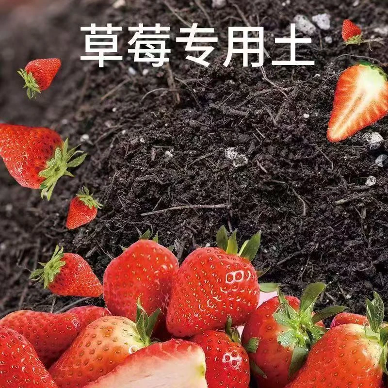 草莓专用土有机营养土草莓土种植土泥土绿植家用盆栽草莓土壤花土