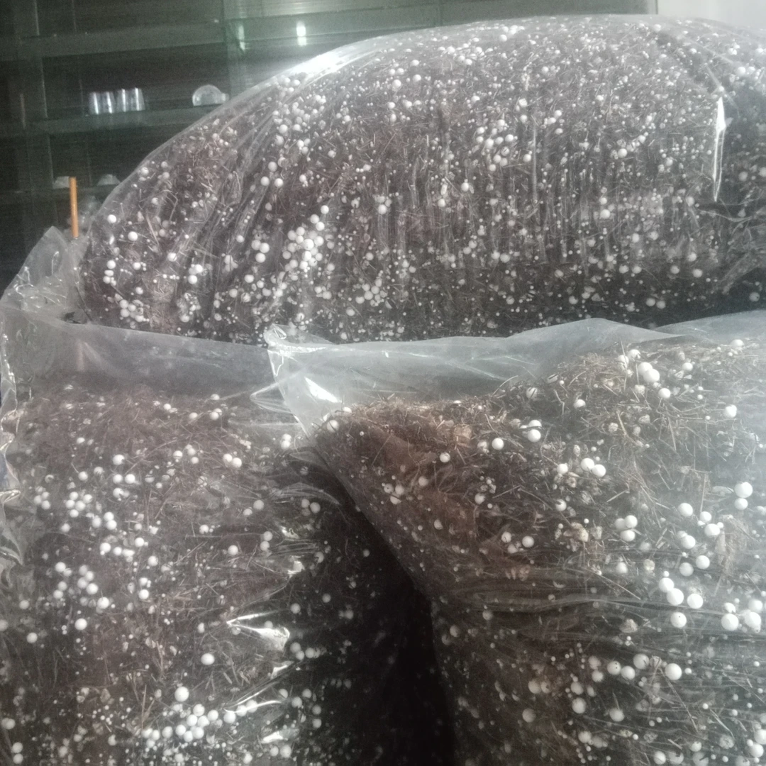 兰花笔记兰花生长土，沥水透气，下根块，发芽壮，20升。