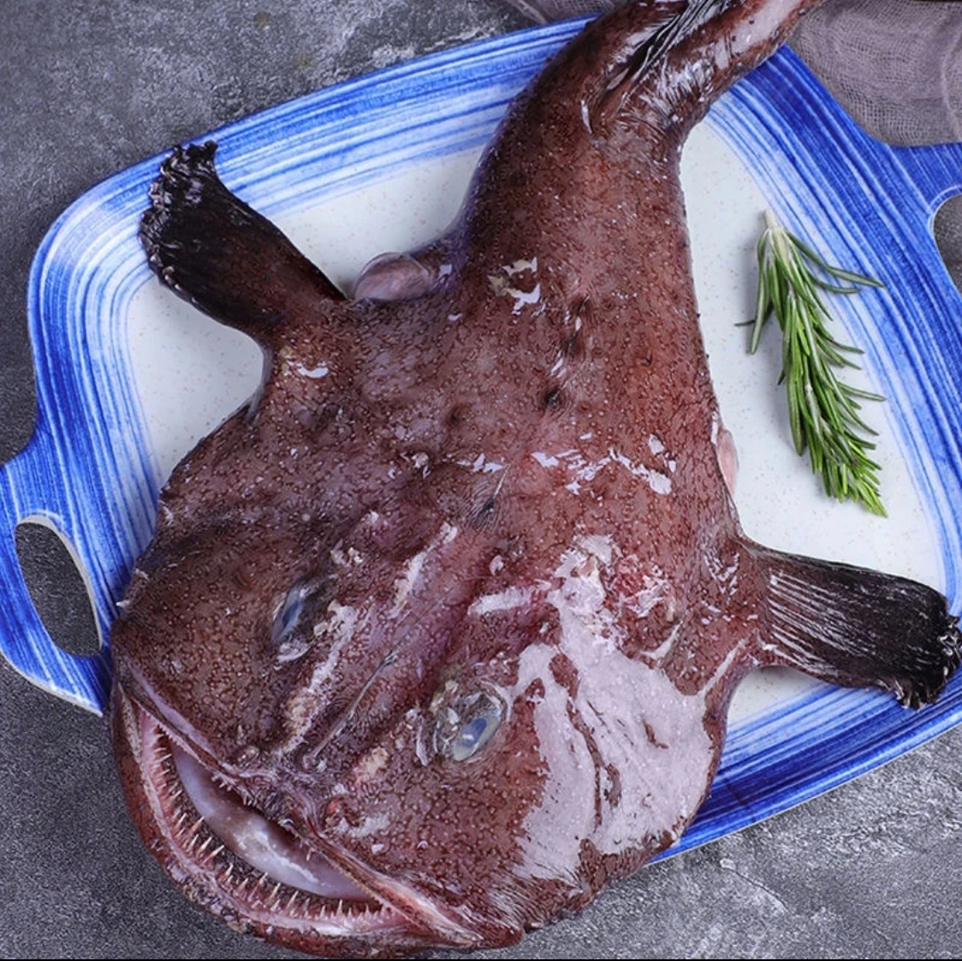 新鲜安康鱼   单条4-5斤  连云港速冻发货