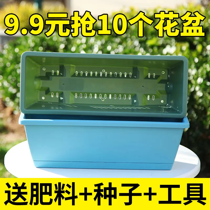 种菜懒人绿植育苗庭院霍仑盆种菜草莓蔬菜盆透气壁挂经典简约阳台