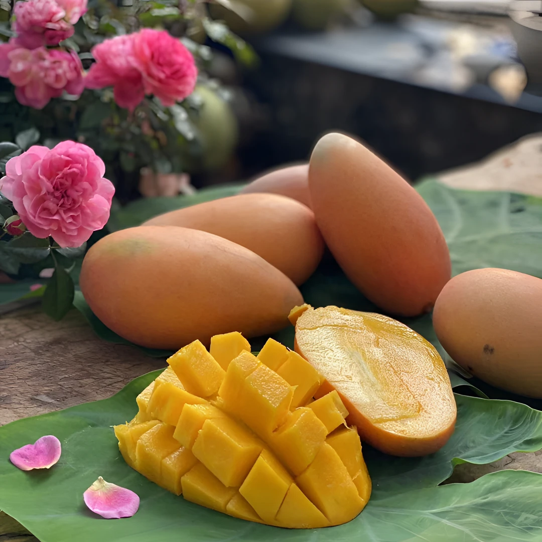 三亚篱笆岛玉文芒清甜多汁肉厚核薄