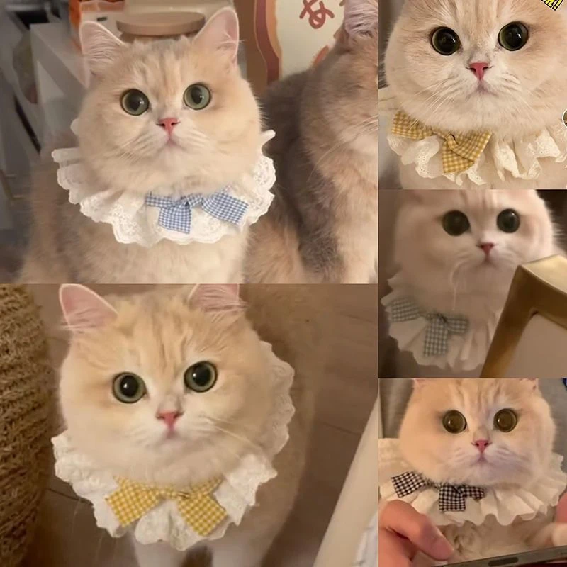 猫咪纯棉蕾丝围脖口水宠物蝴蝶结可爱围巾装饰围兜狗狗围嘴饰品