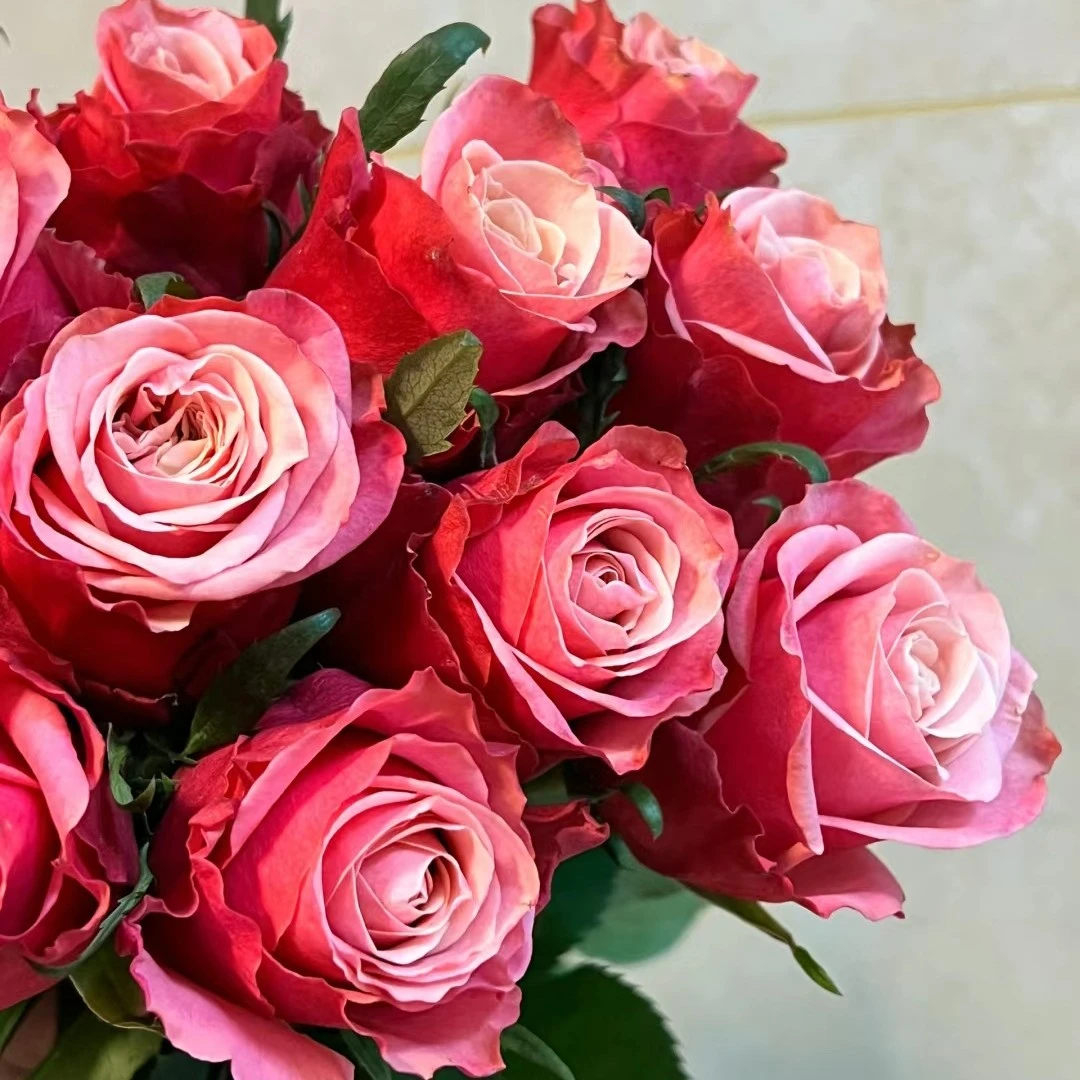 鲜花保温棉云南昆明鲜花全国发货