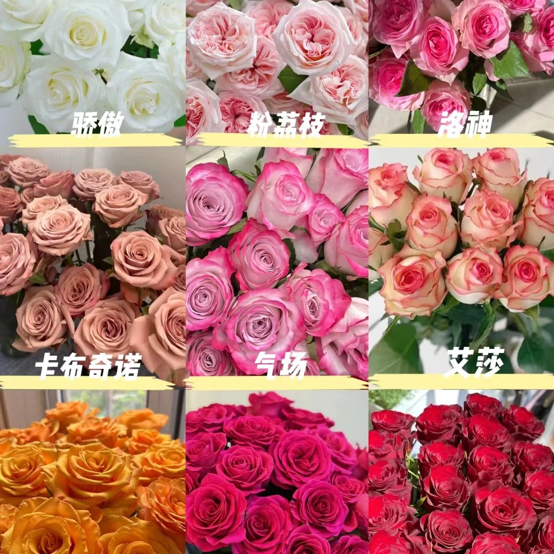 玫瑰花鲜花百合花昆明直发顺丰空运