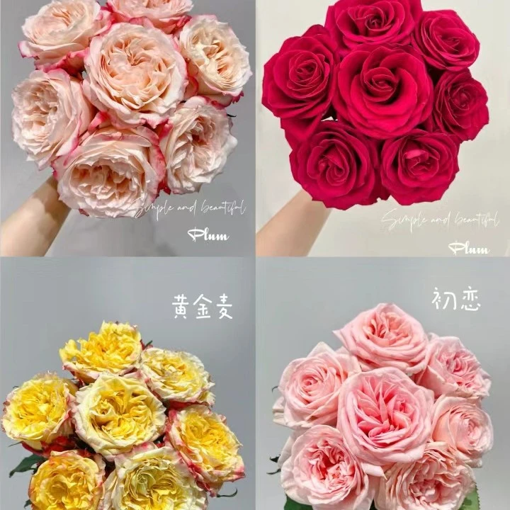 云南昆明鲜花直发玫瑰花百合全国发货