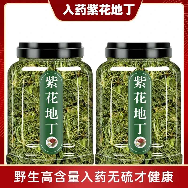 紫花地丁中药材正品新货地丁茶野生新鲜梨头草中草药地丁草鱼腥草
