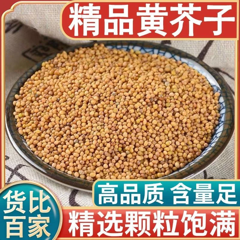 黄芥子中药材芥末籽香料芥菜青菜籽介子粉颗粒饱满散装无杂砂仁
