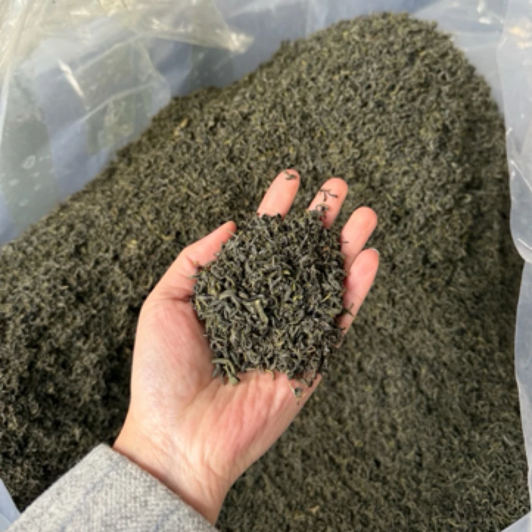 浓香型冬茶 土茶品种 松阳香茶 回甘重耐冲泡香味浓老茶客必备