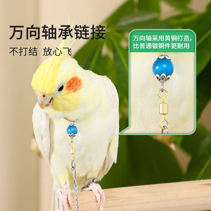 虎皮牡丹鹦鹉脖套玄凤小太户外放飞遛鸟脖圈牵引绳栓鸟链子