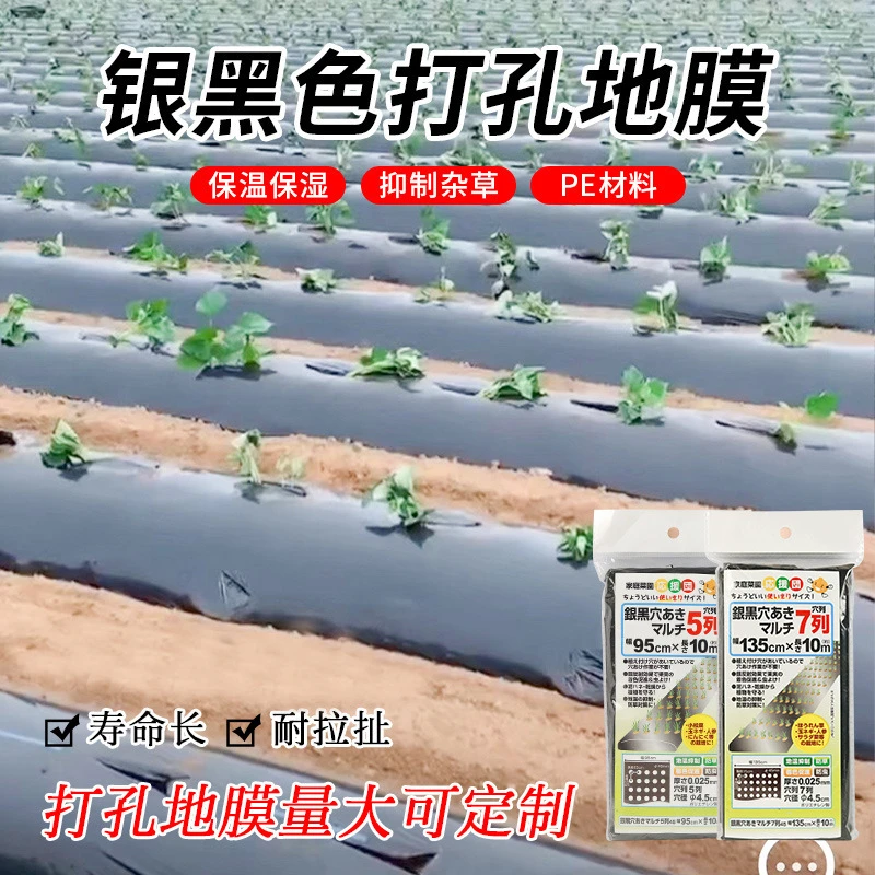 园艺塑料打孔地膜PE园林农用银黑塑料布防草保温保湿薄膜地布