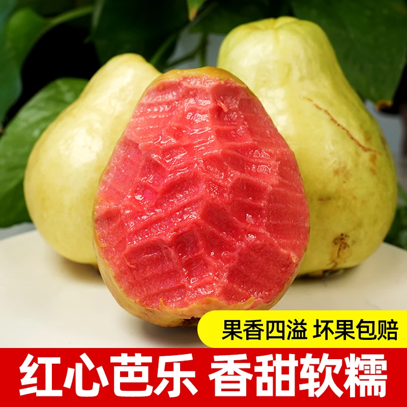 福建番石榴心芭乐5斤水果漳州当季奶软糯软石榴应季新鲜巴乐果3斤