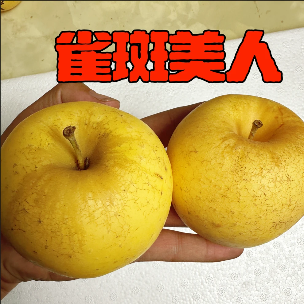 【雀斑美人】维纳斯黄金苹果新鲜水果应当季有水裂纹
