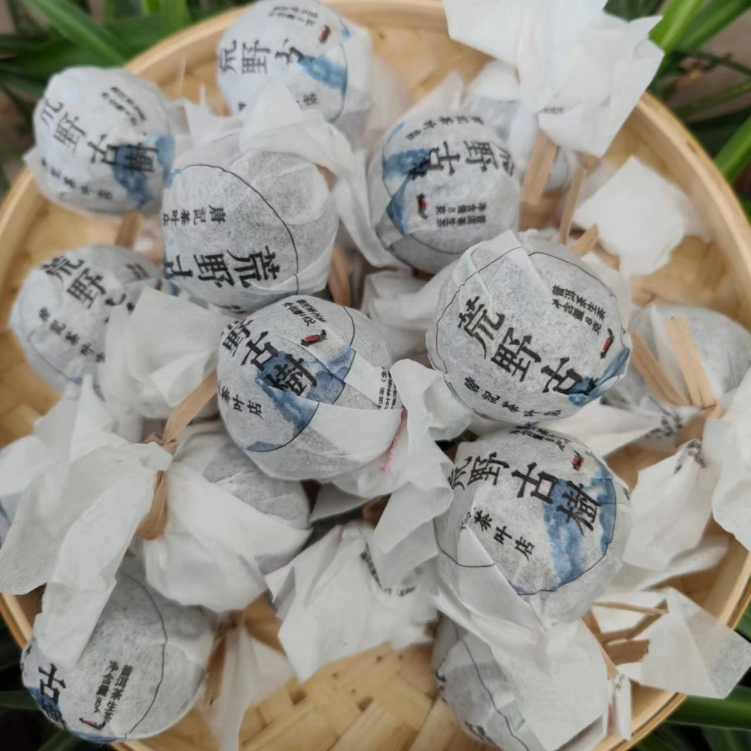 临沧茶区荒野古树龙珠普洱生茶8克龙珠，2024春茶试喝价