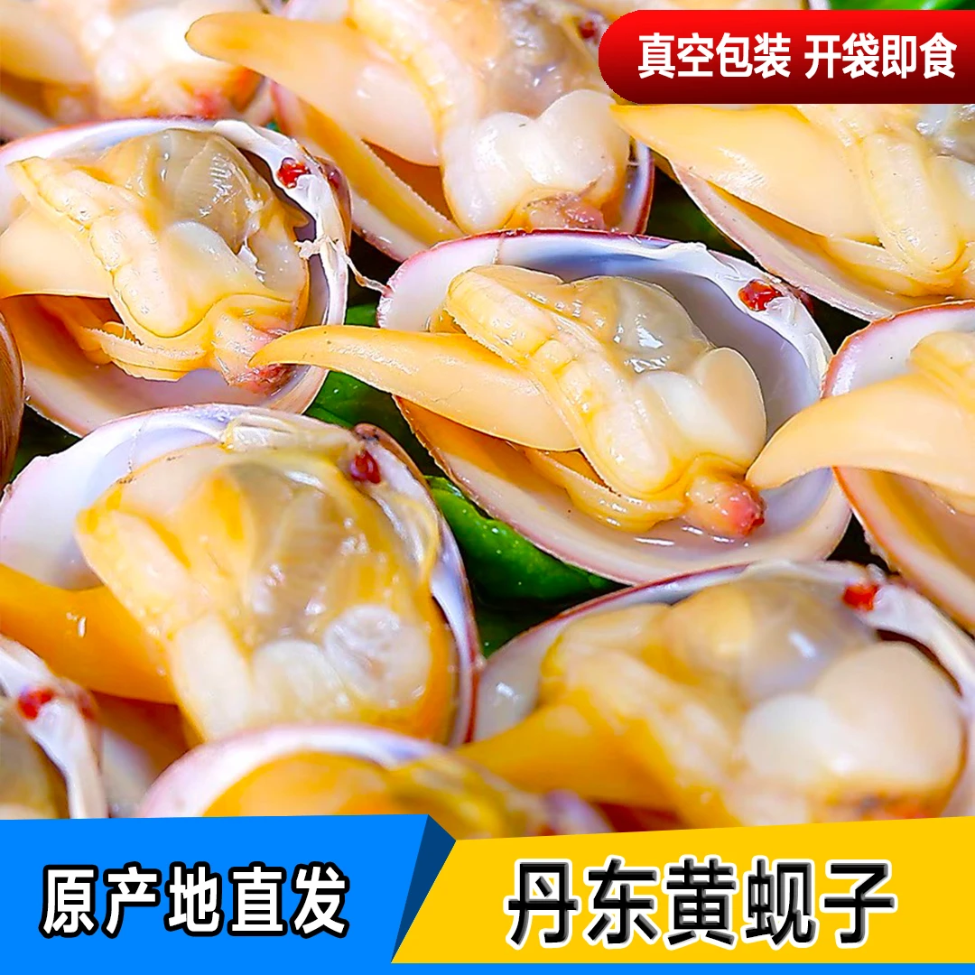 正宗丹东黄蚬子 中粒真空即食黄蚬子400g/袋*5袋