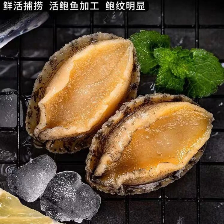 大个鲍鱼肉 用6-8头鲍鱼去壳 10-12只/包  一包500g左右 含保鲜冰