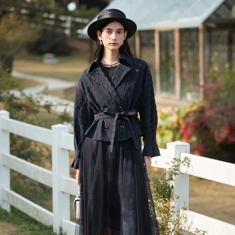 圣迪奥秋季女装时尚肌理收腰网纱晕染气质套装连衣裙S24161404