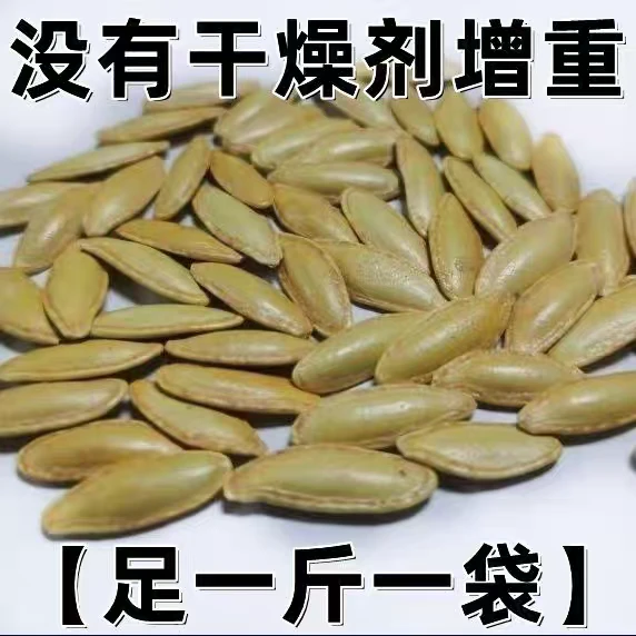 【净重1斤】美人甲南瓜子椒盐口味长粒美人甲瓜子厂家直销无干燥剂