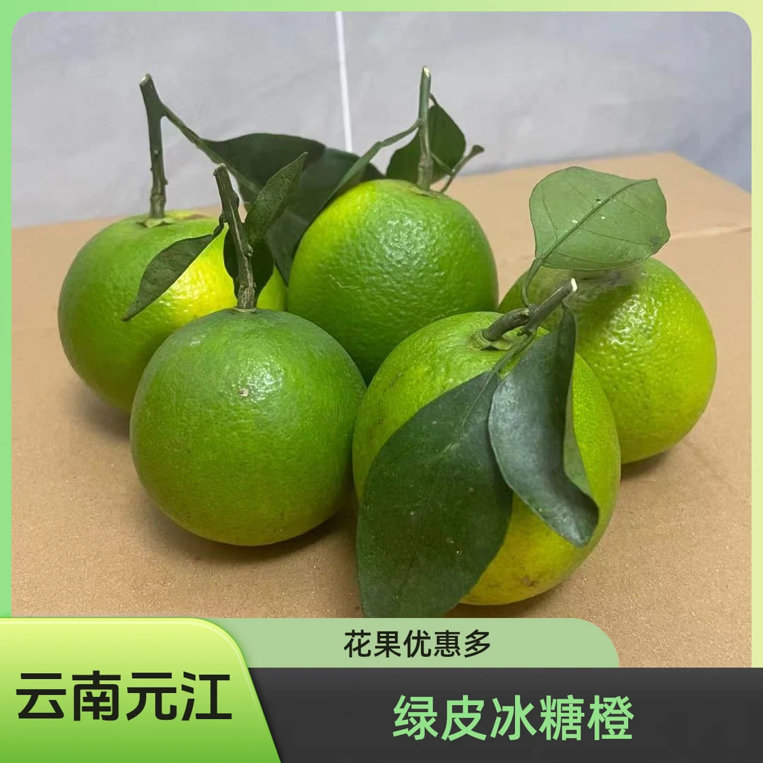 云南元江绿皮冰糖橙花果新鲜采摘水果净果5斤清甜哀牢山产地直发