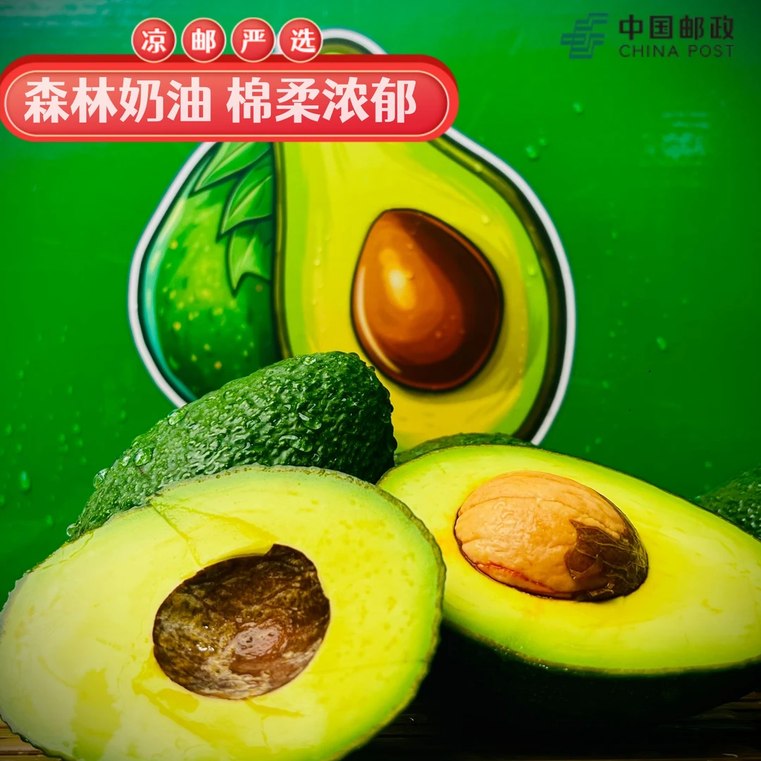 【口口醇香】大凉山-会东县-哈斯牛油果