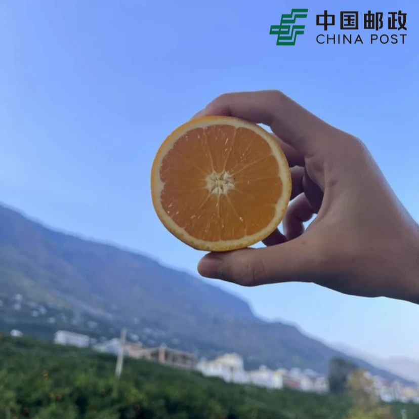【雷波脐橙】大凉山-雷波县-正宗雷波脐橙应季现摘现发坏果包赔